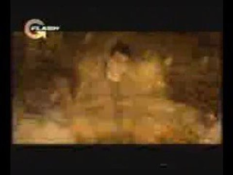 Cengiz KURTOĞLU - Yine Aynı Sahilde