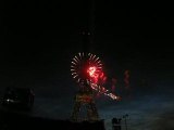 Flower Power du feux d'artifice de la tour eiffel du 14 juil