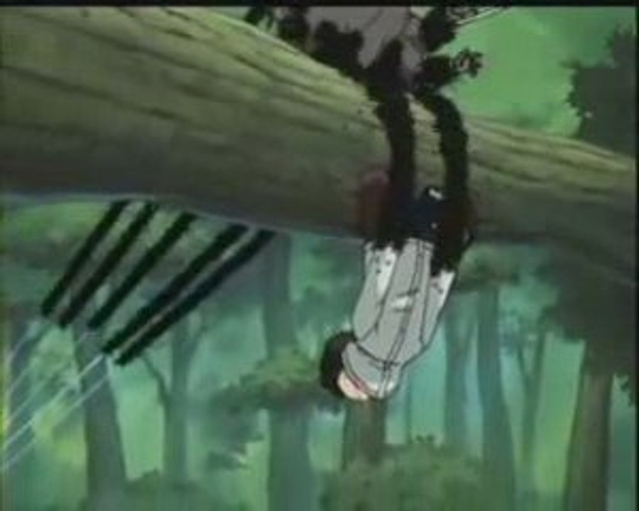 naruto les ptites bêbetes