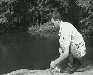 Carpe sur la Gartempe (rivière)