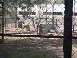 Zoológico Sáenz Peña