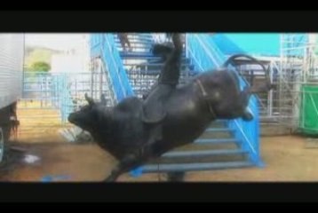 Estrutura e Montagem - Cia. de Rodeio Falcão