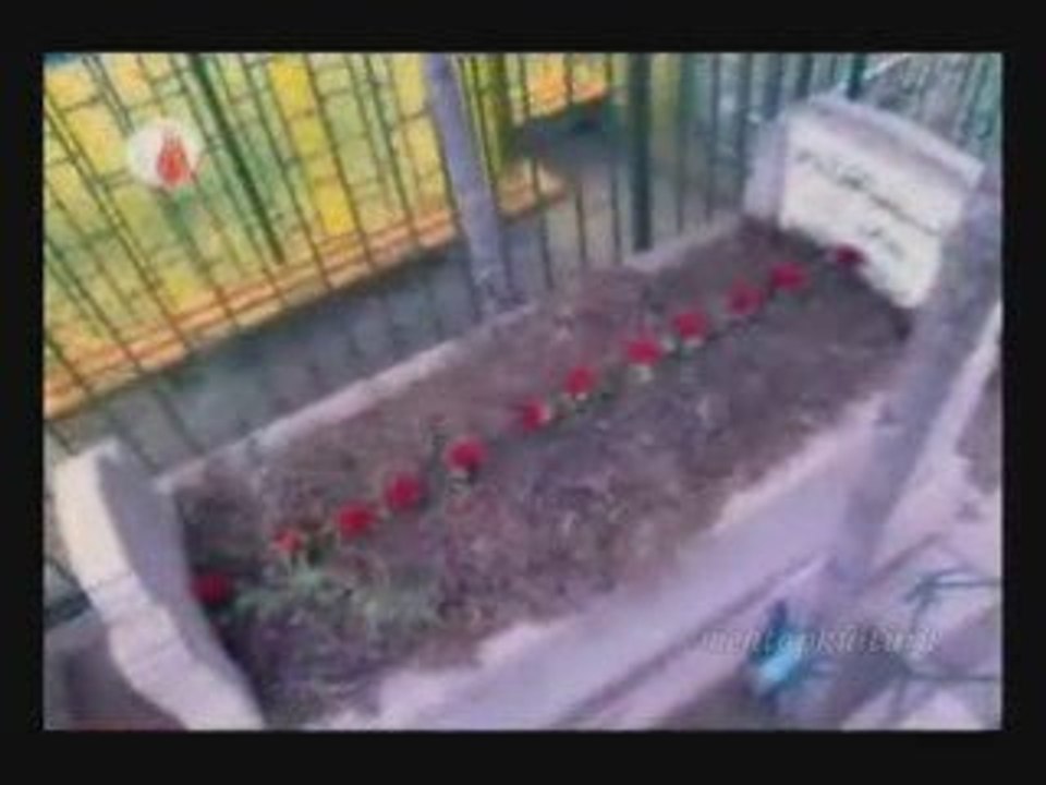 Abdülhakim Arvasi İzmir Ankara Vefat N.Fazıl