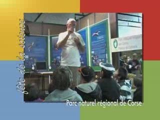 Le balbuzard pêcheur dans la réserve de Scandola