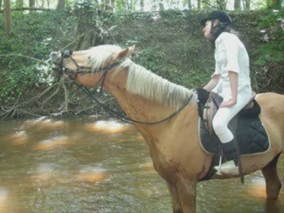 Des adieux qui font Mal