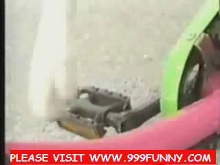 Talking Dog! Funny! and it needs no help playing with his ba