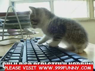 [SLIDESHOW] SasuSaku - Sorry! I'm a cat! (Sakura ...