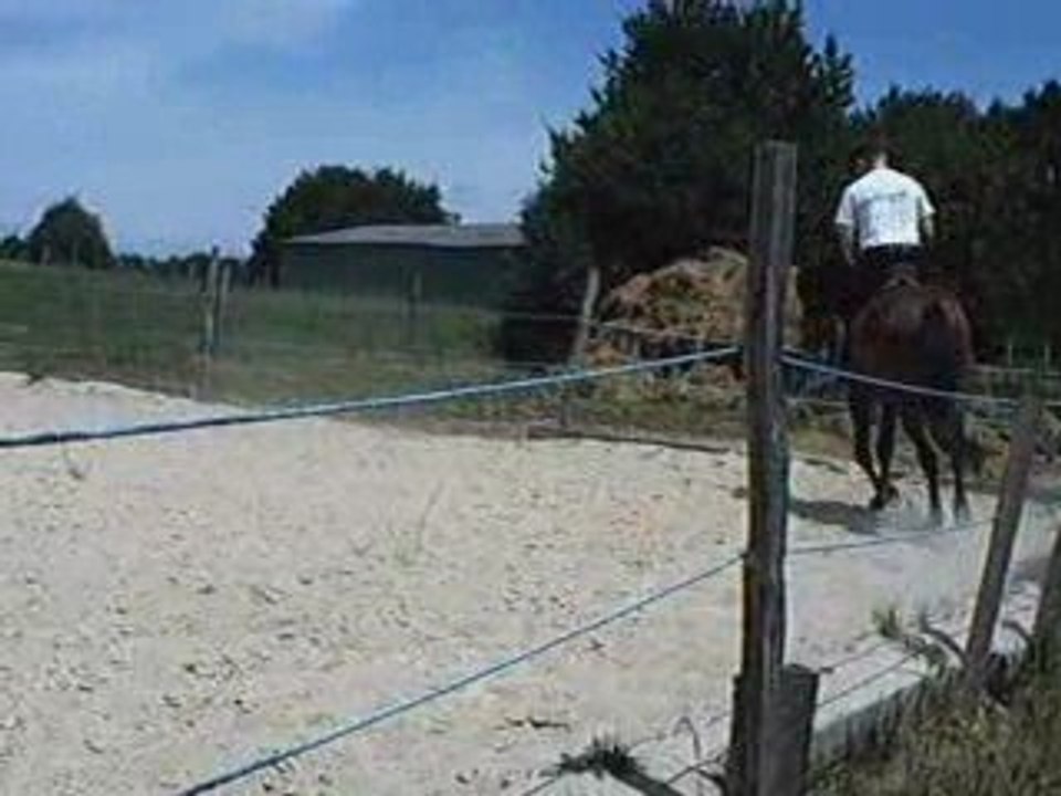 Algodao - travail d'un 4 ans