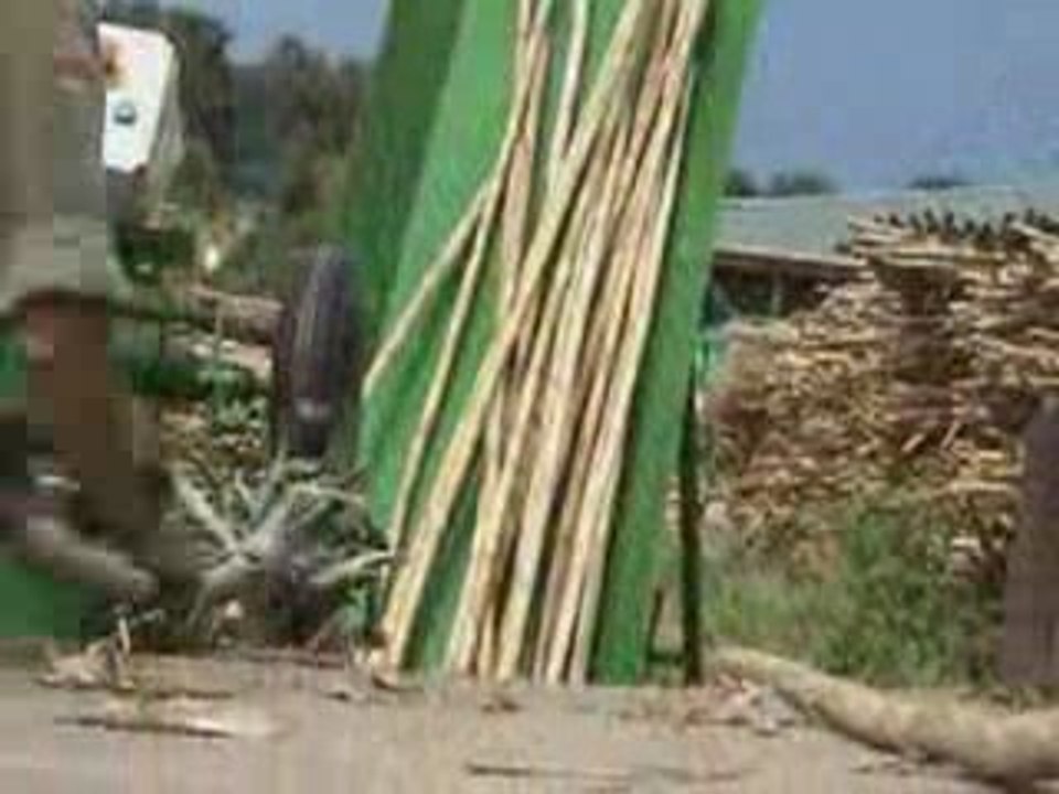 Pierrefeu le roseau orchestre