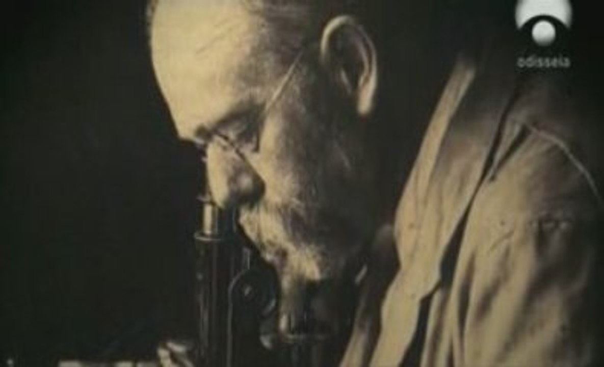La tuberculosis