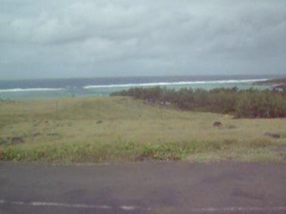 Rodriguae Floridum Mare