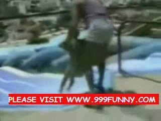 60 pounds of dry ice and a funny swimming pool