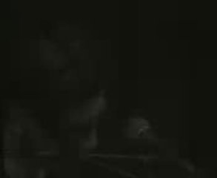 ciwan haco - zilan canli konser