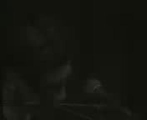 ciwan haco - zilan canli konser