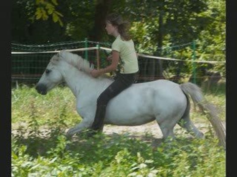 séance saut en lib'