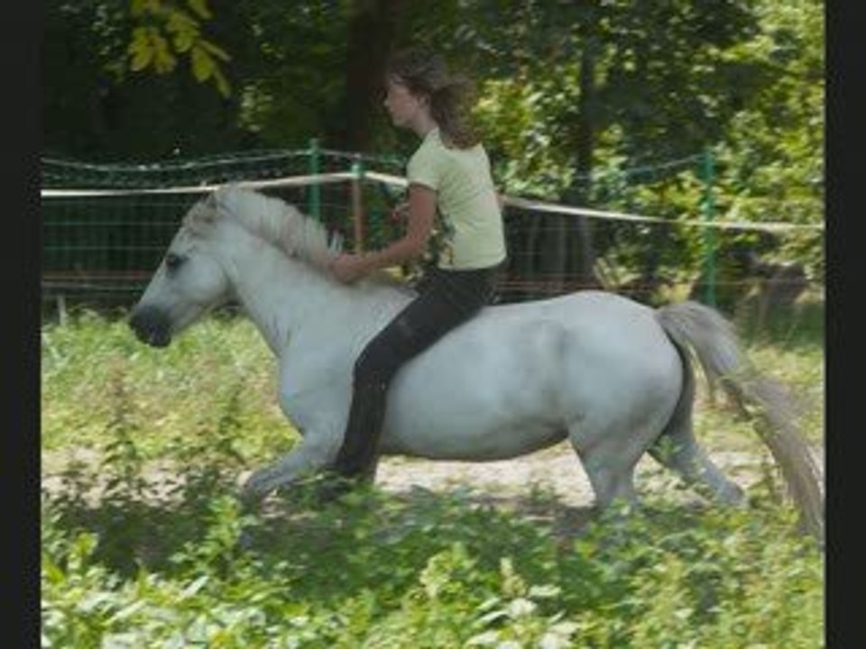 séance saut en lib'