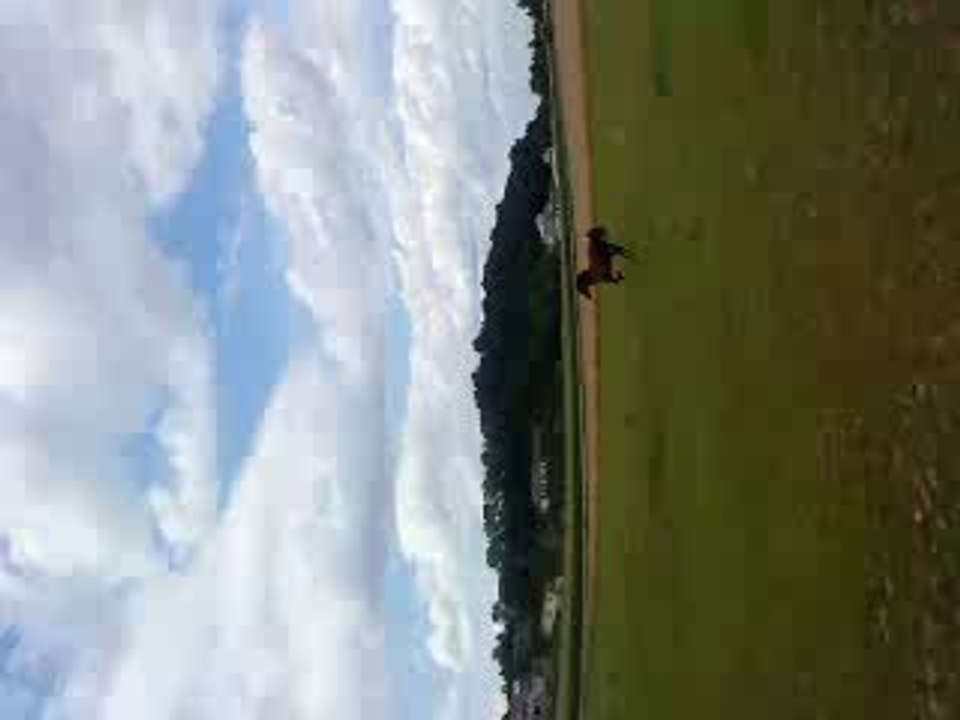 ninette au galop