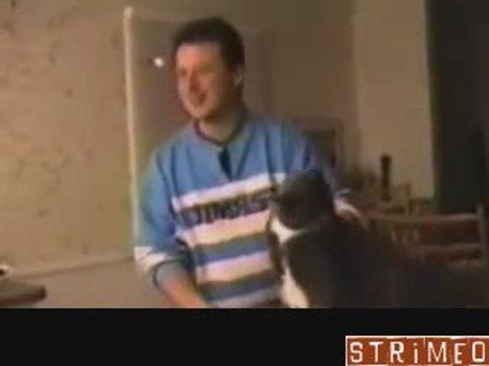 Chat Qui Parle - Speaking Cat