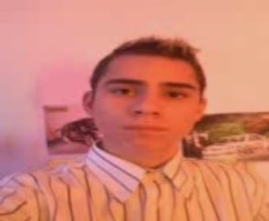 david