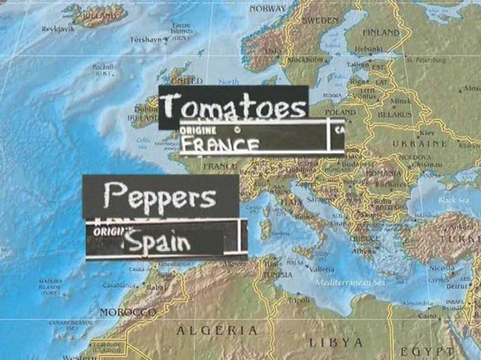 Discovering Homo Petroleum