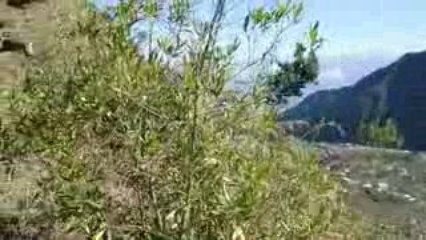 Rando Cap Noir... au dessus des nuages...