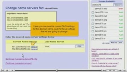 Updating DNS at DomainSite.com