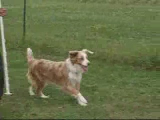 Bag slalom couloir 21 jullet