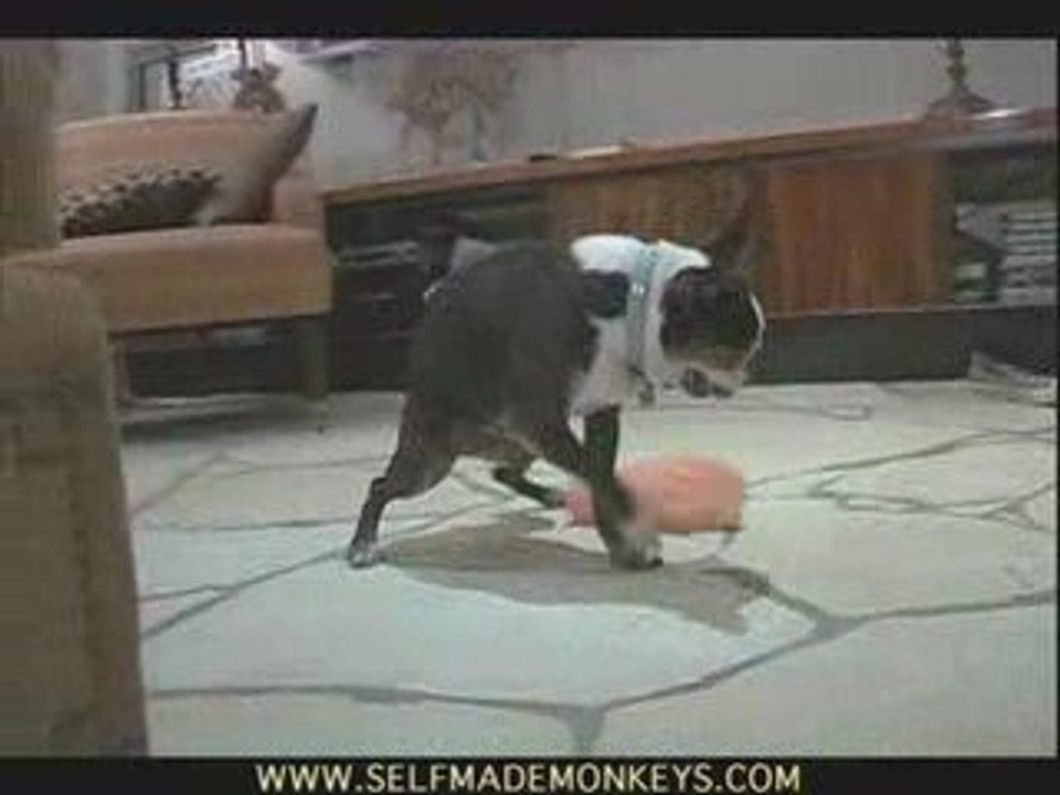Horny Dog 2: Take My Hand