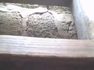 NERD Builds a Sand Castle with HOT Chicks on the Beach!