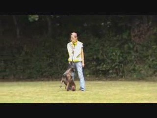 Alien du domaine n'kenia héricourt 3