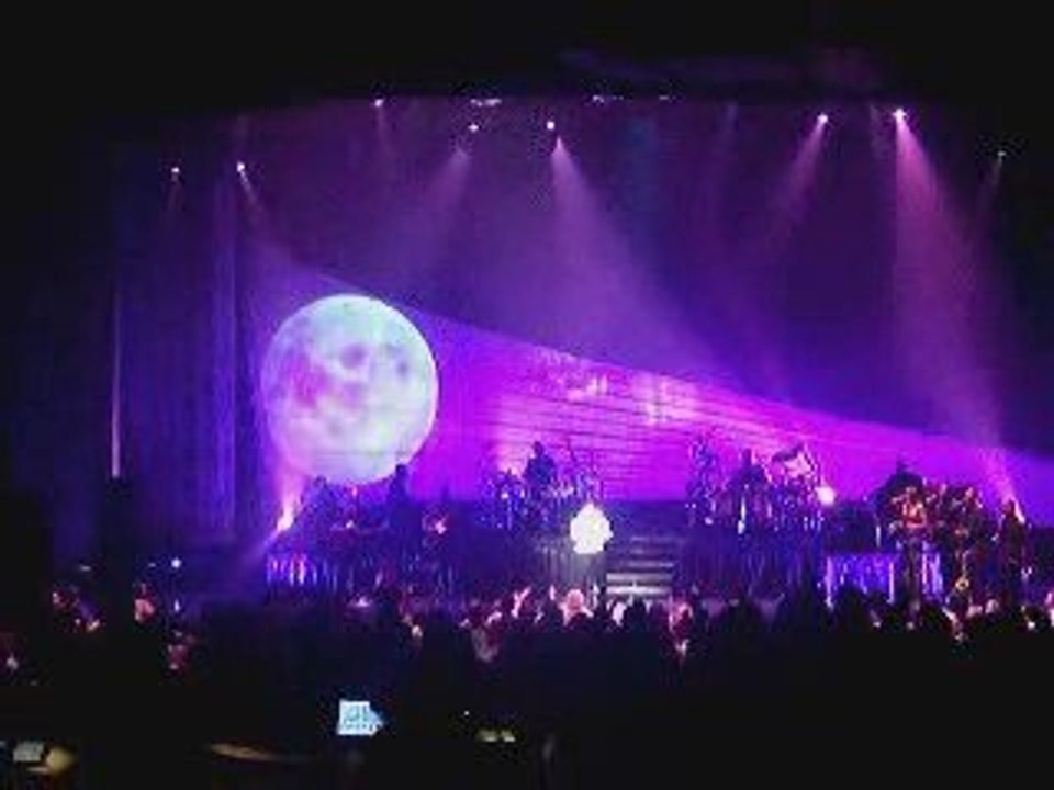 Maxwell in Albany,NY