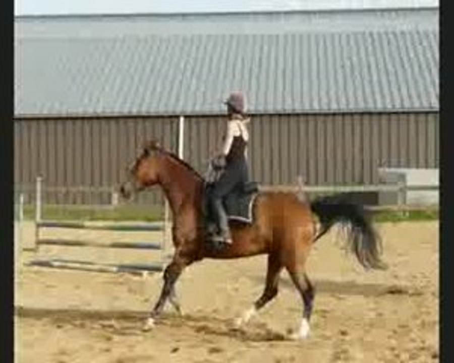 cours en cordelette avec Guillaume