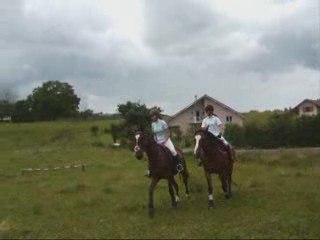 Spectacle equestre (carrousel)