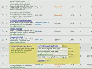 Optimisation des Campagnes Adwords