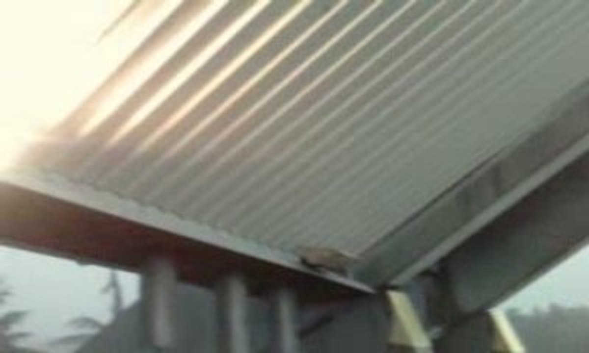 V220709_20.200001