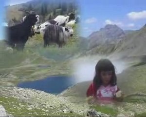 KAÇKARDAN ESİNTİLER