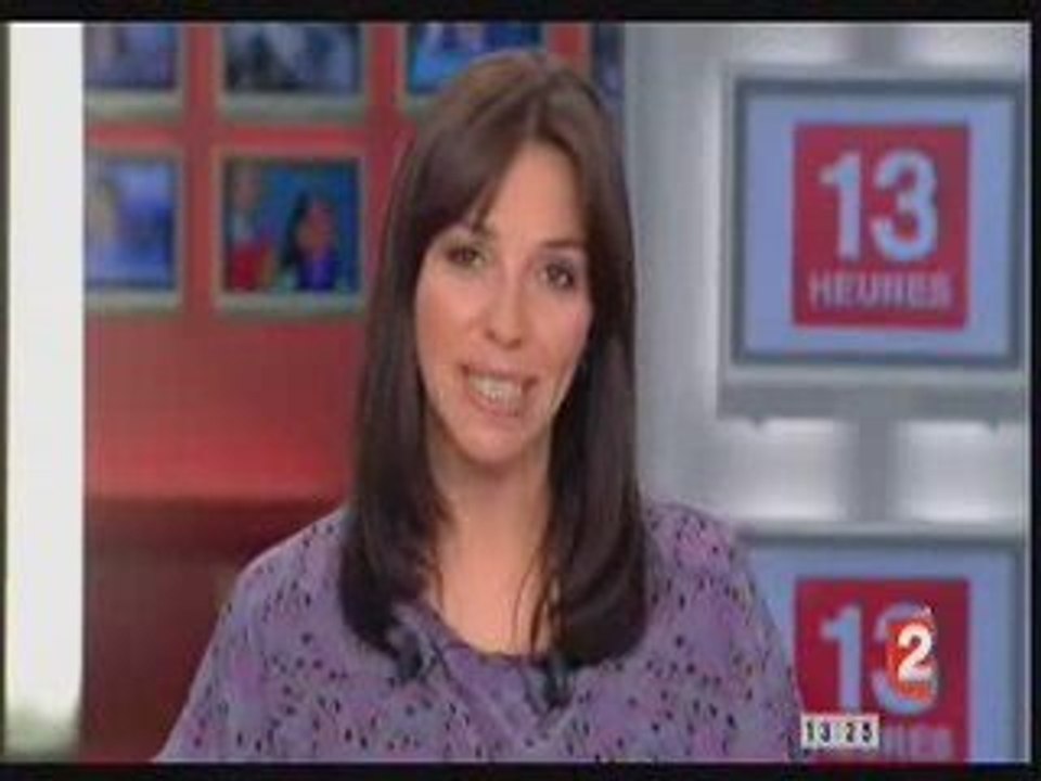JT 13h de France 2 : Les cabanes dans les arbres