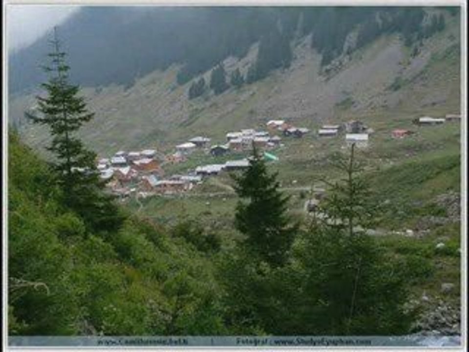 yeni elevit