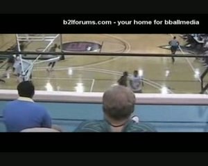 Lebron James posterized by Jordan Crawford