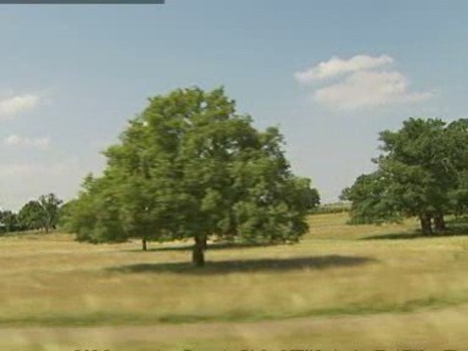 Parks postcode lottery