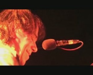 Les cygnes et les corbeaux (extrait)