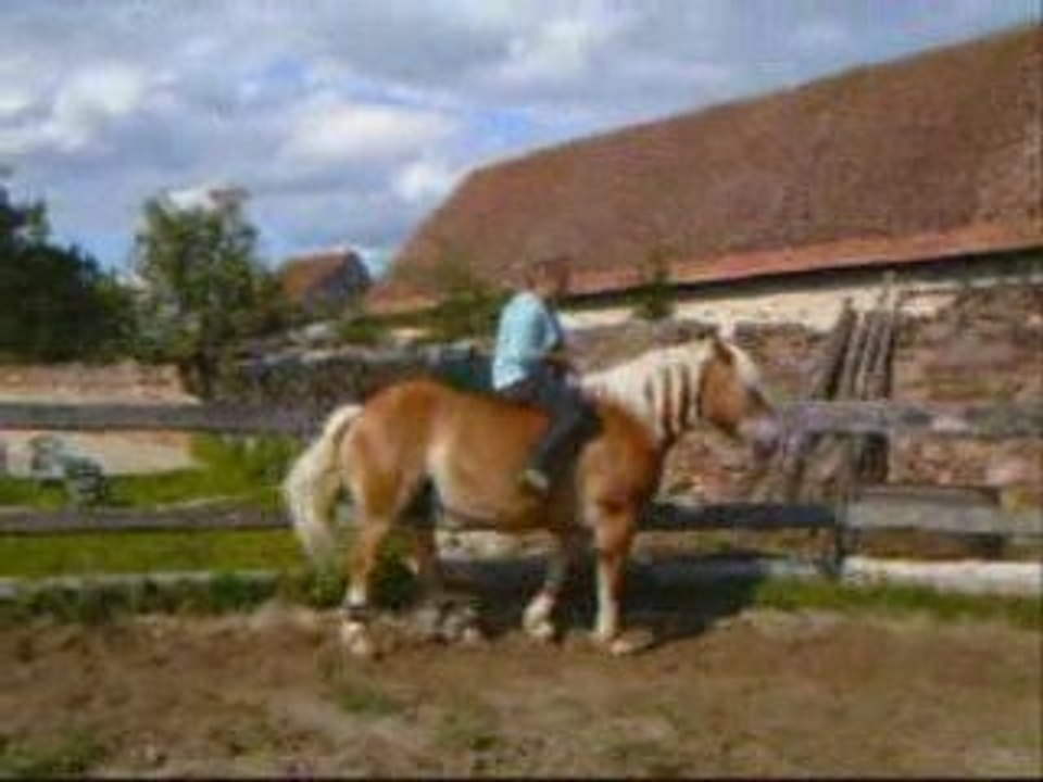 monter en liberter