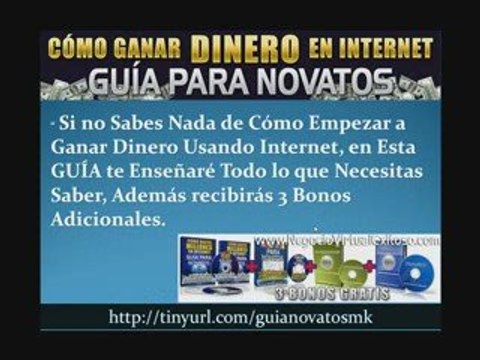 Negocios en Internet Guia para novatos