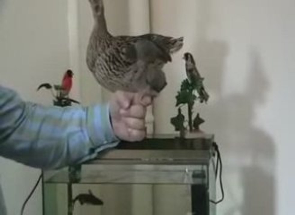 çok komik hahaha-super-bisey-ya