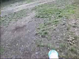 ycf r start 125 2009