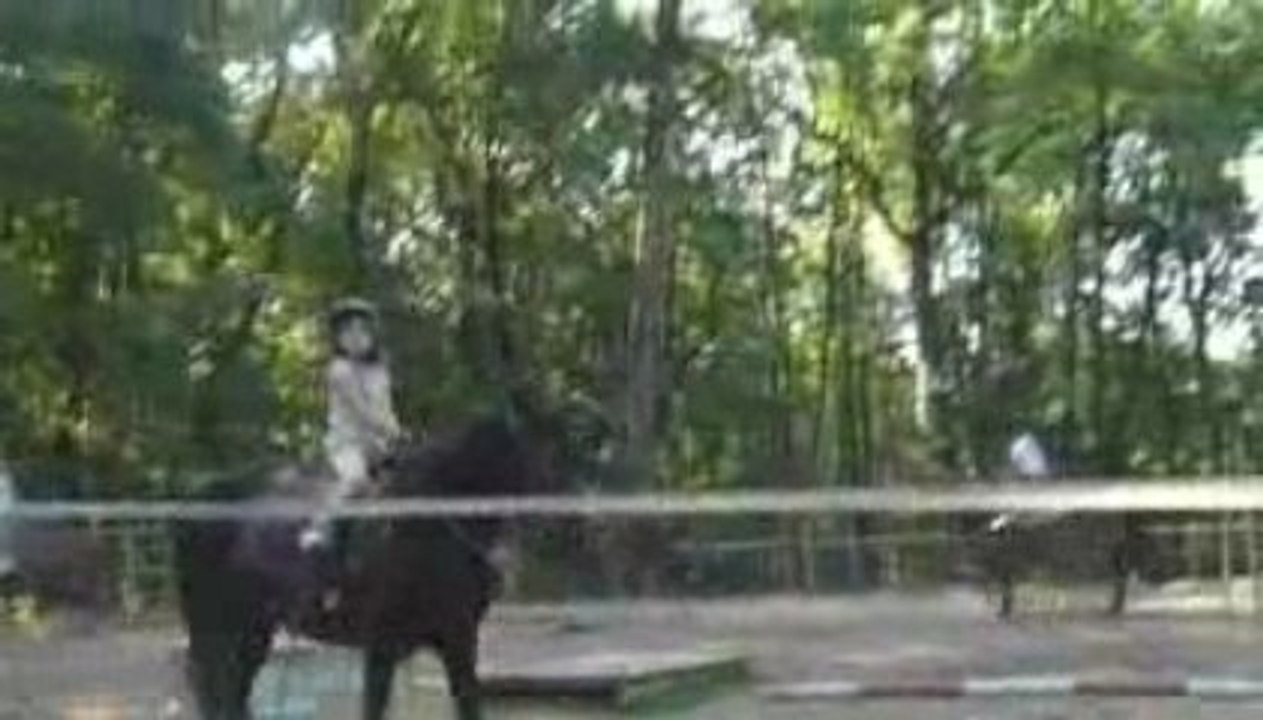 dordogne juillet 2009 116