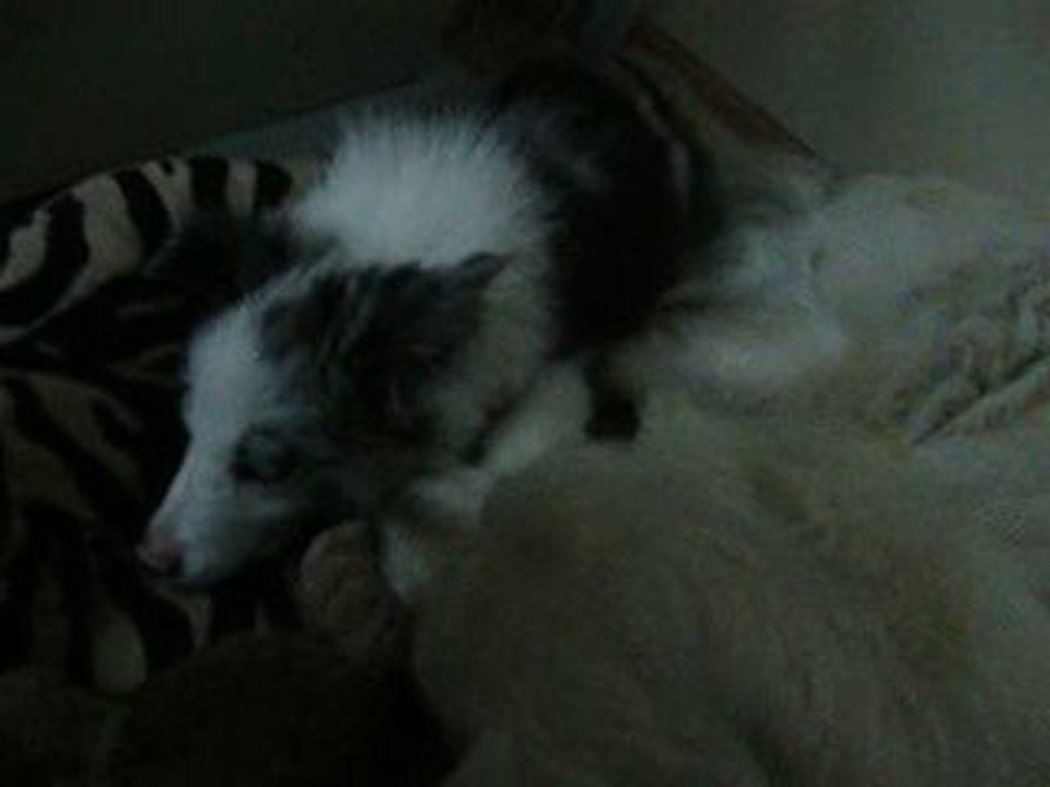 Mayka & Ilow