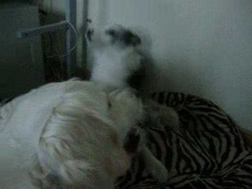 Mayka & Ilow