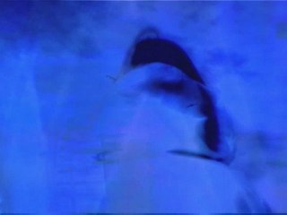 Dedication Watine by Piel