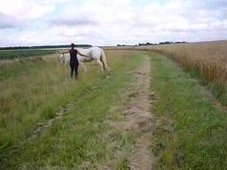 Flann travail en extérieur